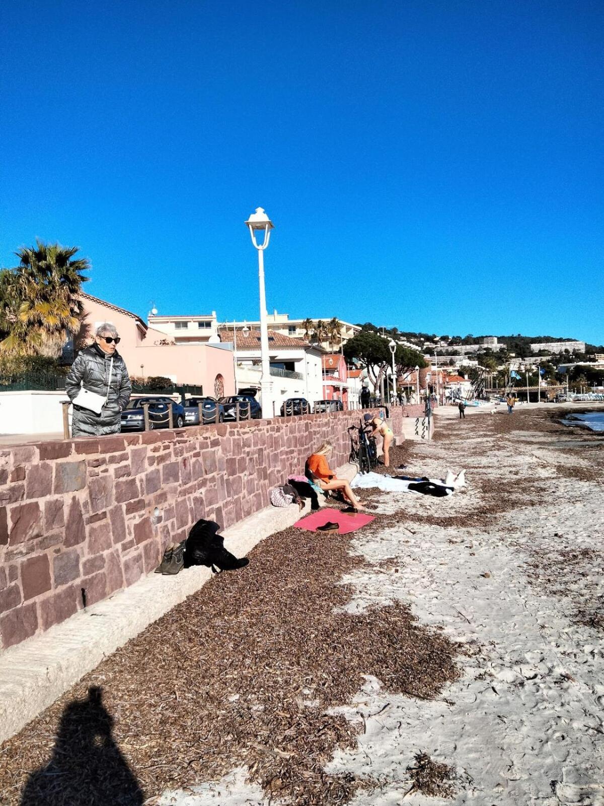 Apartment Near Croisette Garden Pool